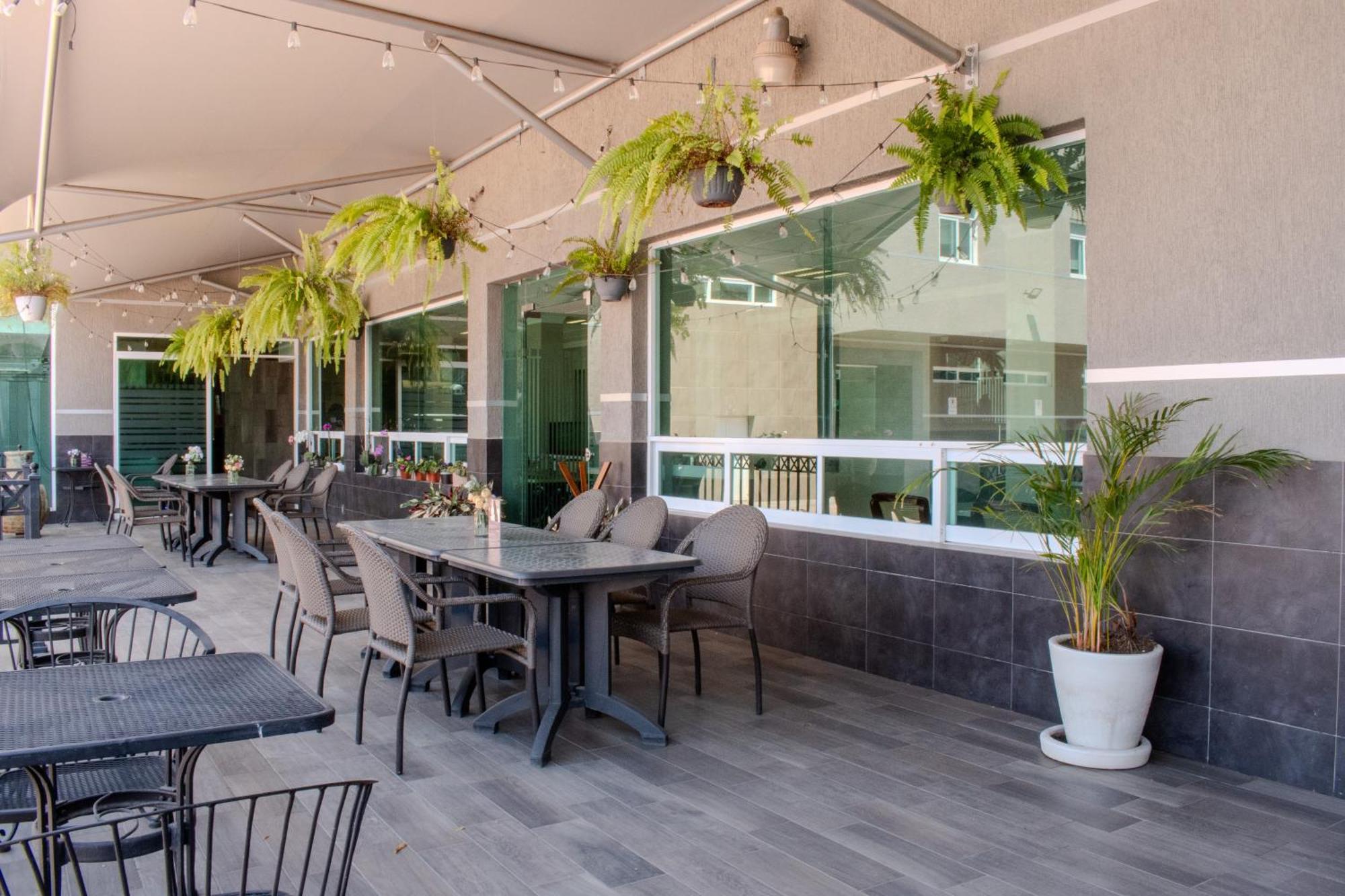 Aliana Hotel